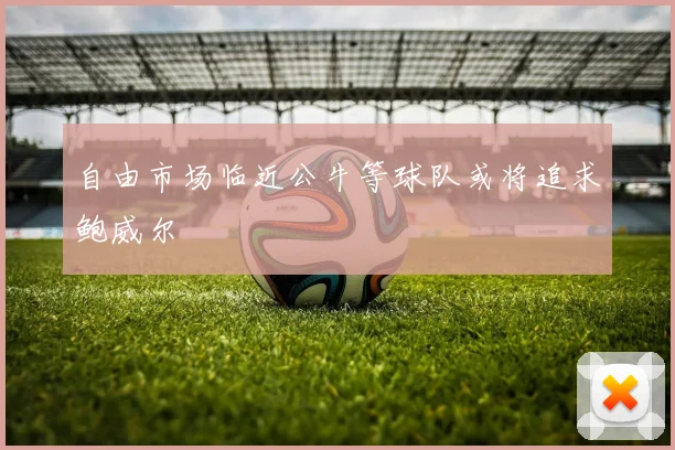 自由市场临近公牛等球队或将追求鲍威尔